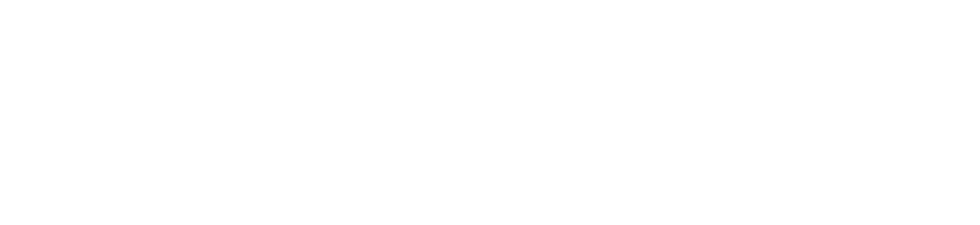 Logo CONQI