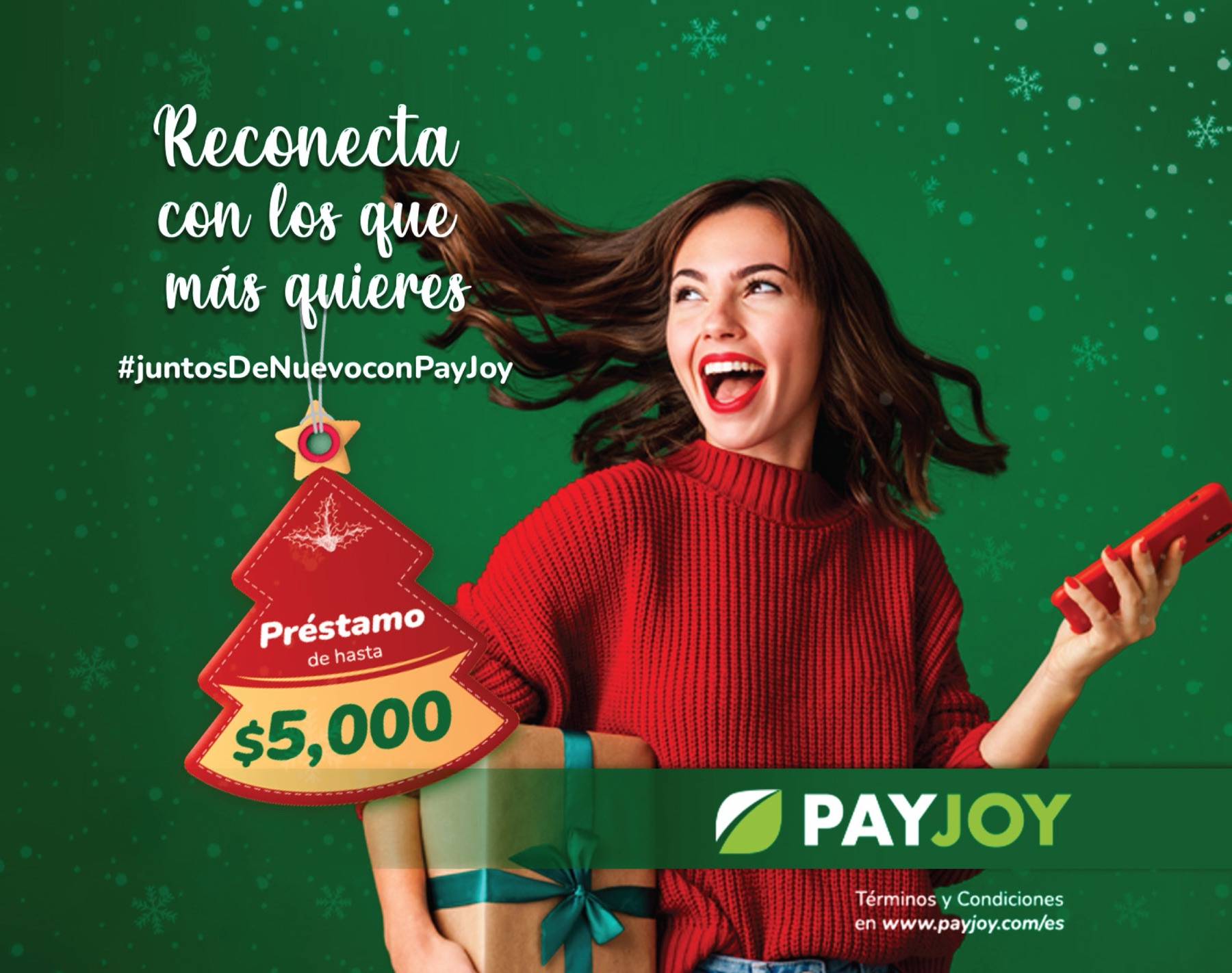 Temporada · Google Ads